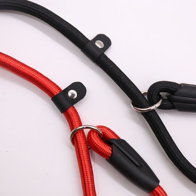 Nylon Dog Leash