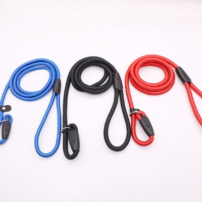 Nylon Dog Leash